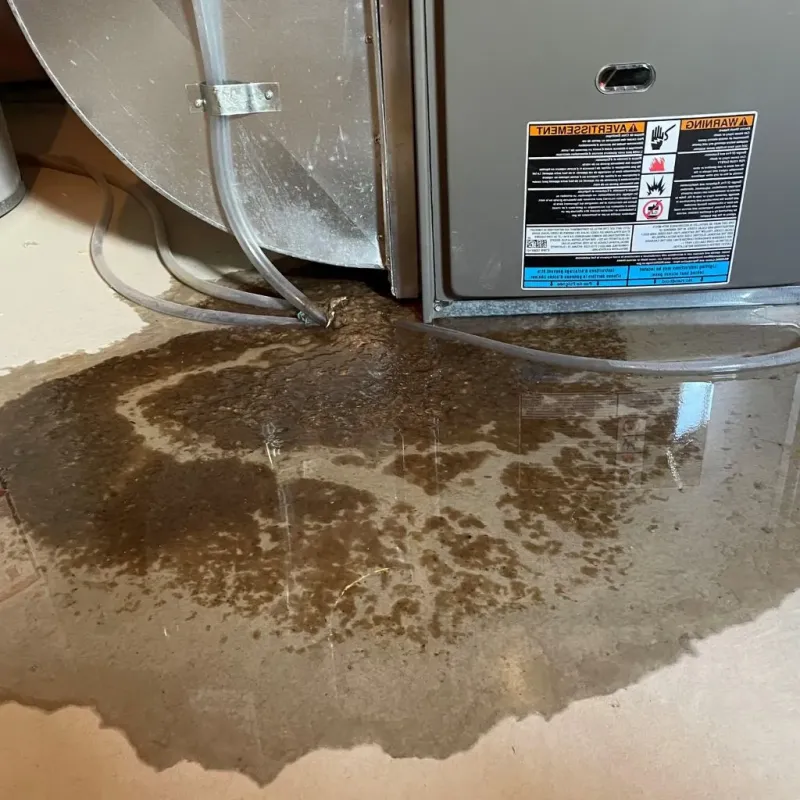 Pipe Burst and Leak Restoration in Salem, NC