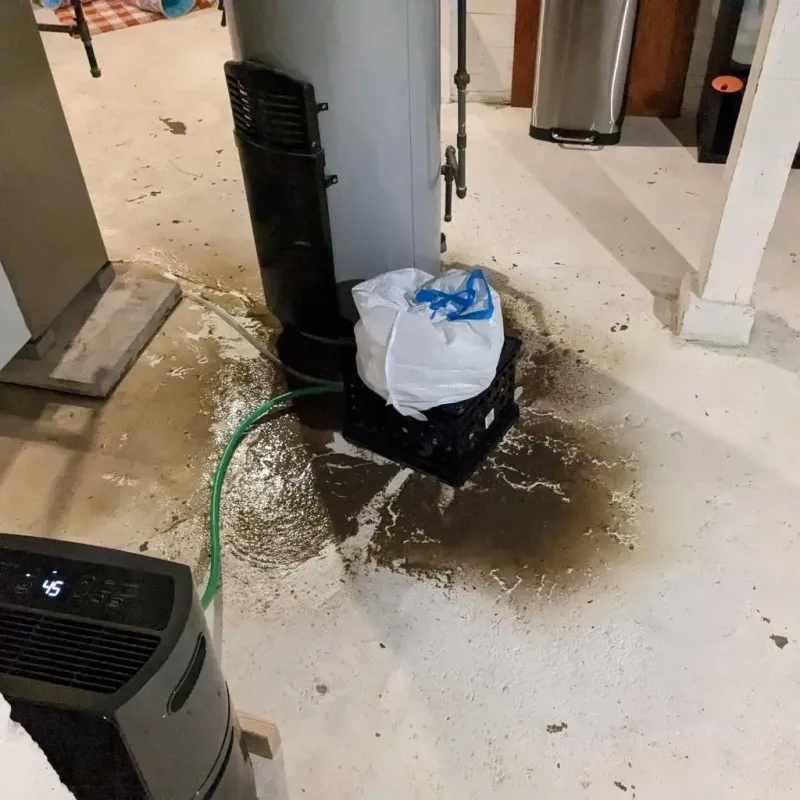 Sewage Backup Cleanup Service in Salem, NC